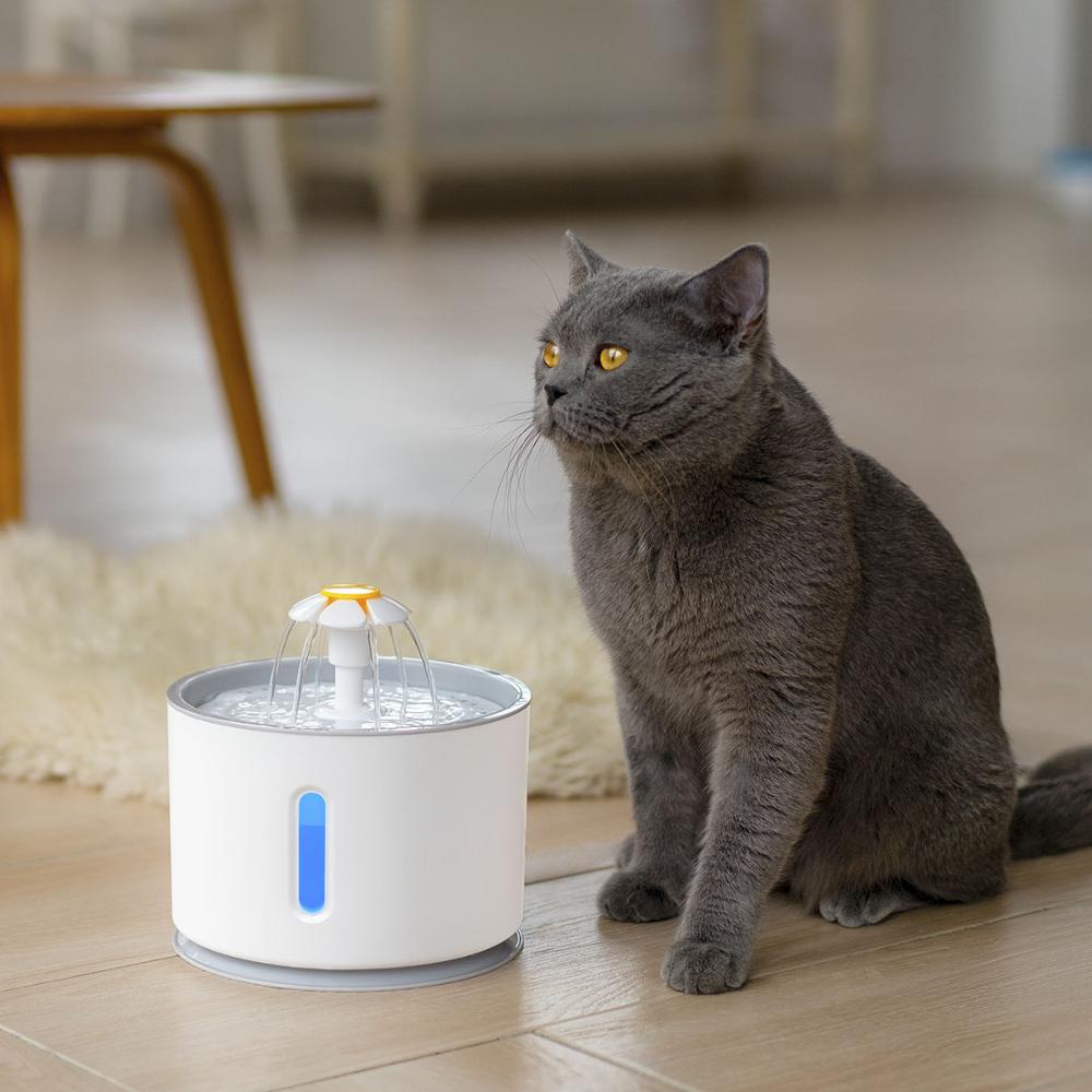 Cat Water Fountain